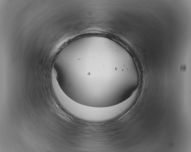 X0000112541355200909141302