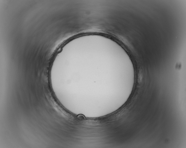 X0000112541356200909141302