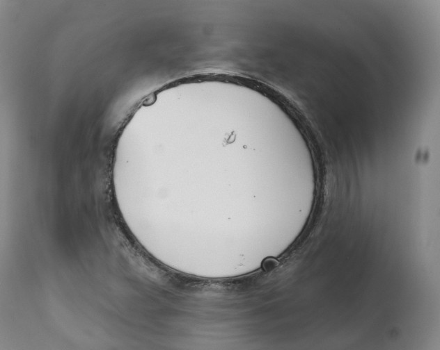 X0000112541359200909141302