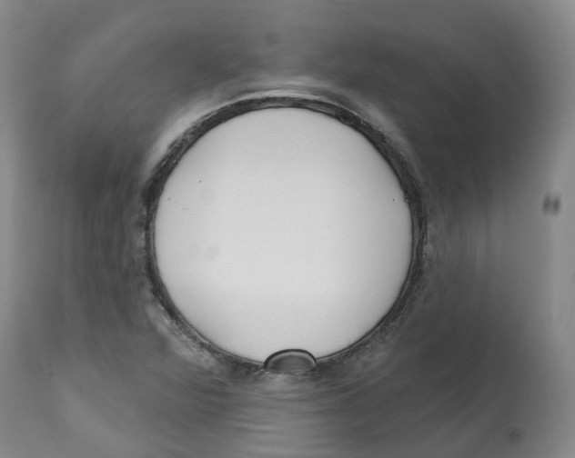 X0000112541360200909141302