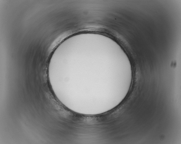 X0000112541362200909141302