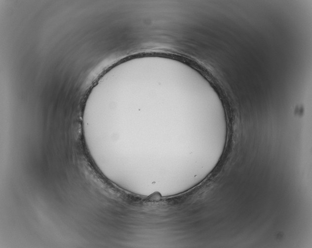 X0000112541363200909141302