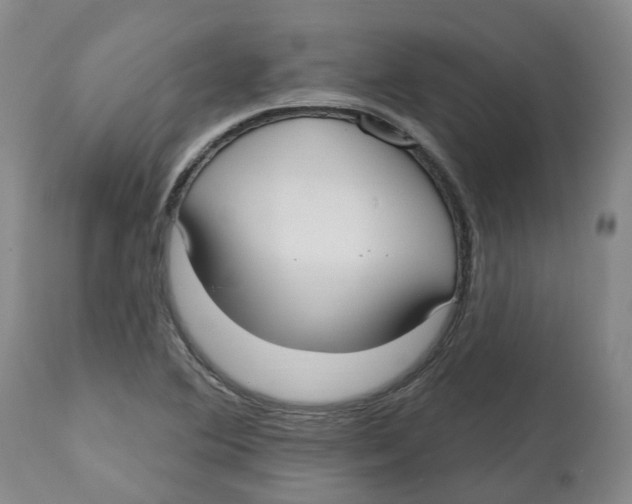 X0000112541364200909141302