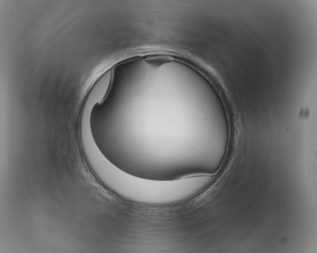 X0000112541365200909141302