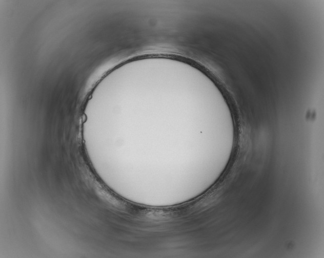 X0000112541366200909141302