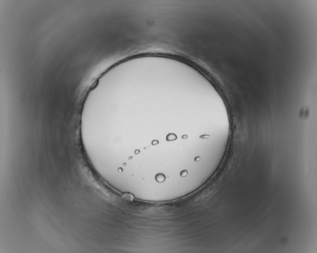X0000112541367200909141302