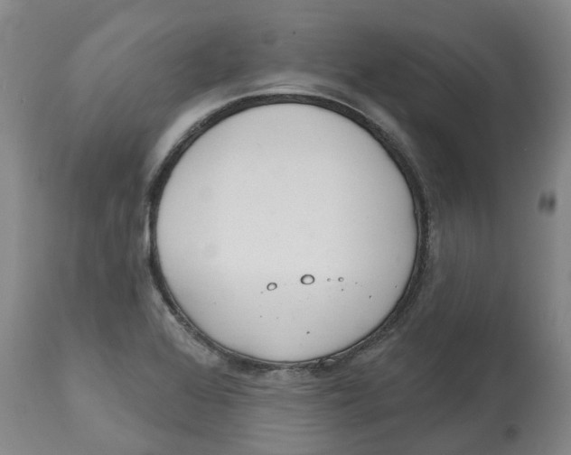 X0000112541368200909141302