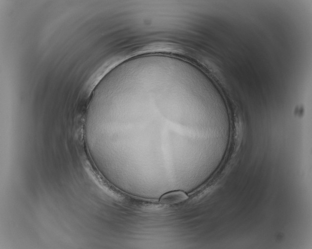 X0000112541369200909141302