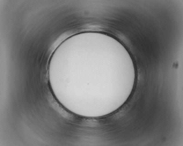 X0000112541370200909141302