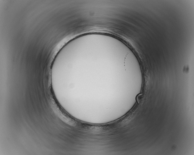 X0000112541371200909141302