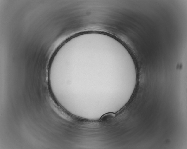 X0000112541372200909141302