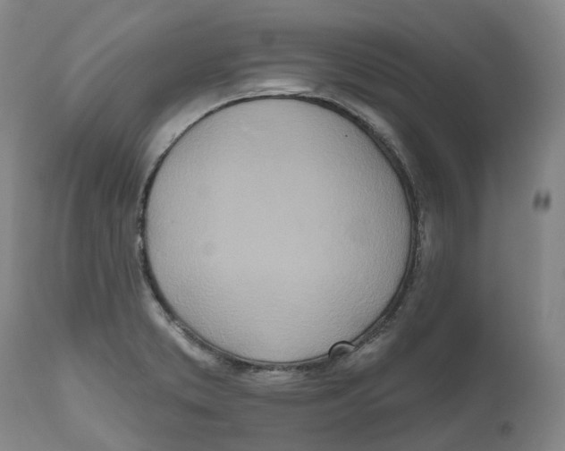 X0000112541373200909141302