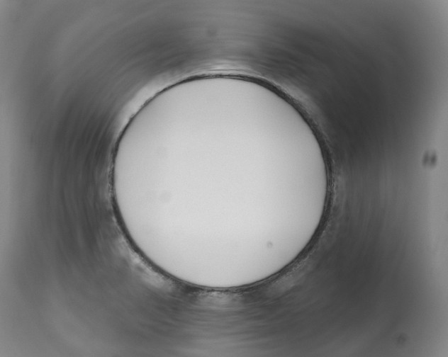 X0000112541374200909141302