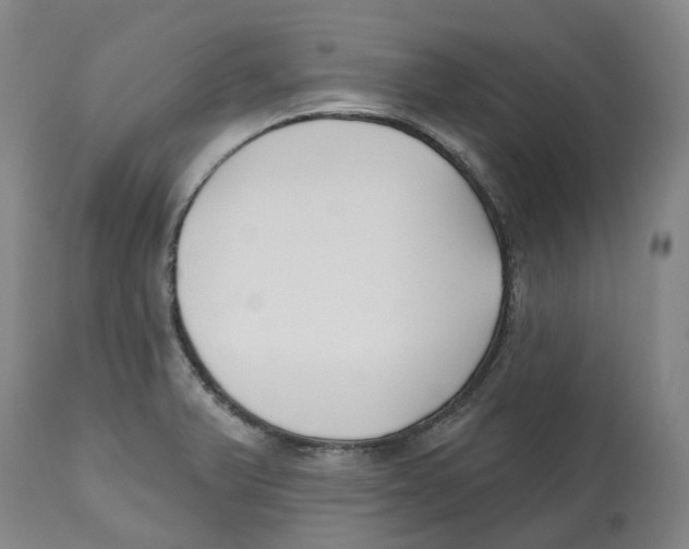 X0000112541375200909141302