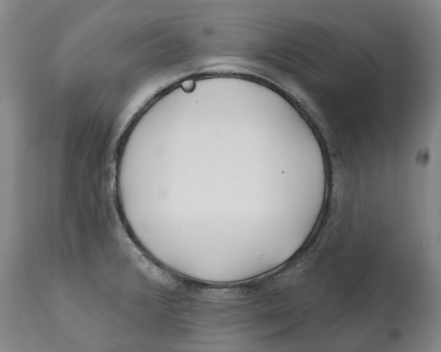 X0000112541376200909141302