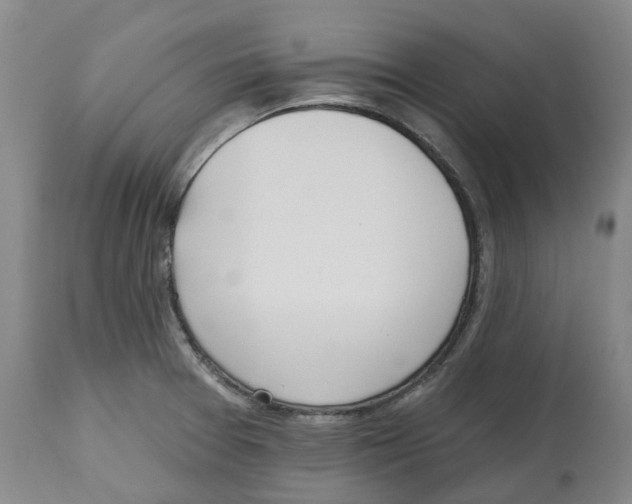 X0000112541377200909141302