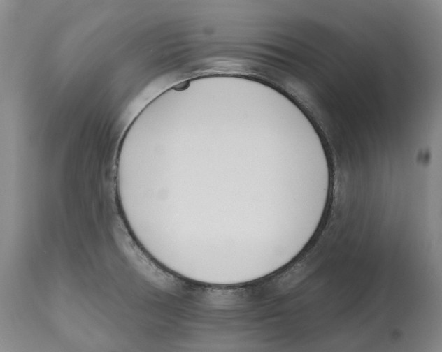 X0000112541378200909141302