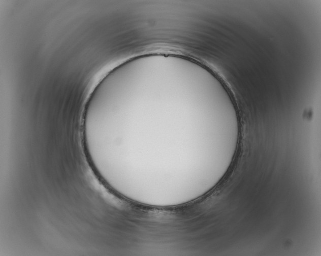 X0000112541379200909141302