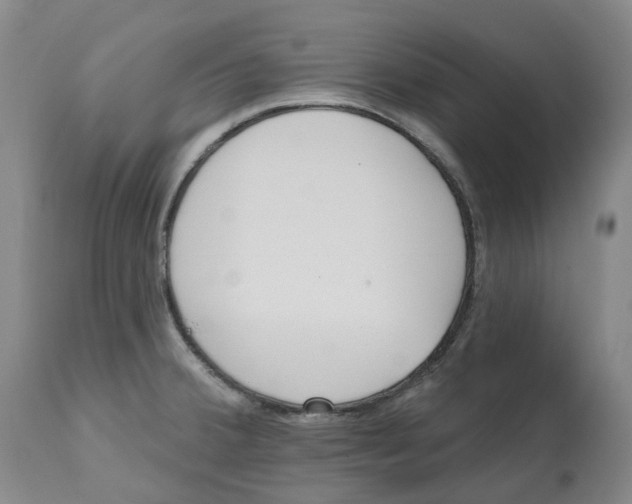 X0000112541380200909141302