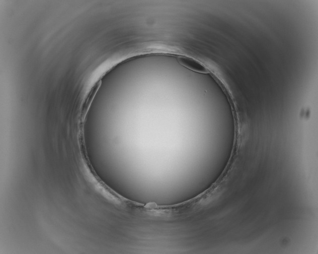 X0000112541381200909141302