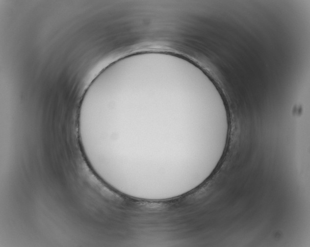 X0000112541382200909141302