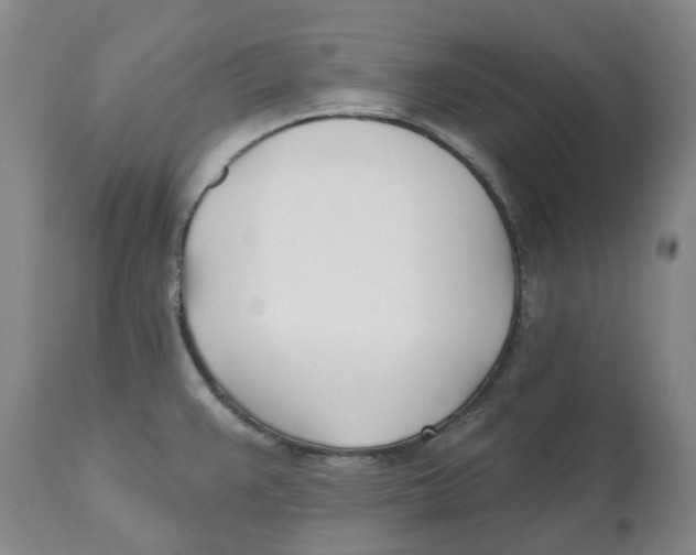 X0000112541383200909141302