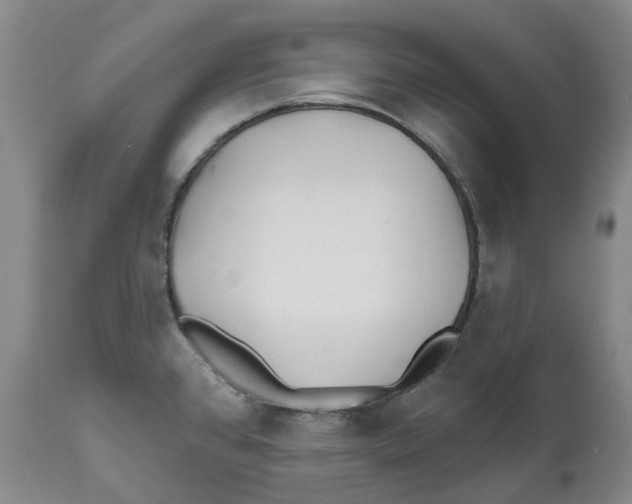 X0000112541384200909141302