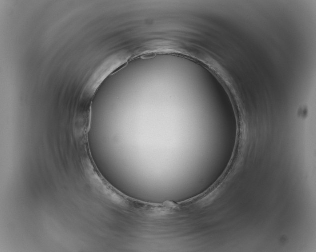 X0000112541385200909141302