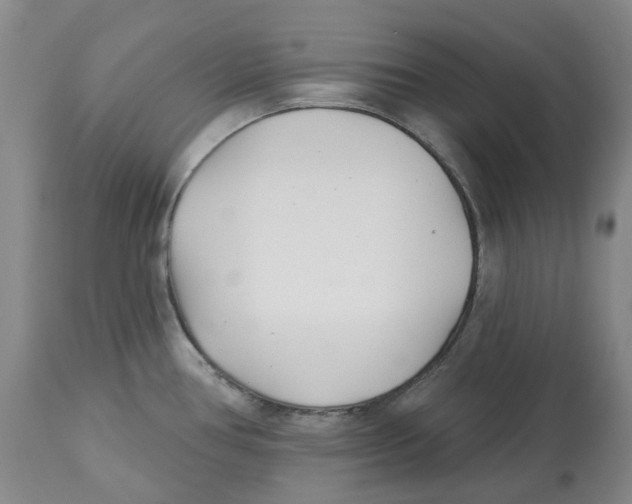 X0000112541386200909141302