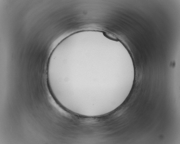 X0000112541387200909141302