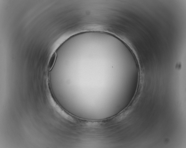 X0000112541389200909141302