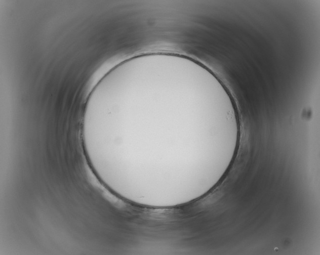 X0000112541390200909141302