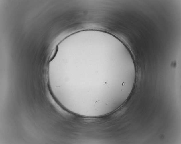 X0000112541391200909141302