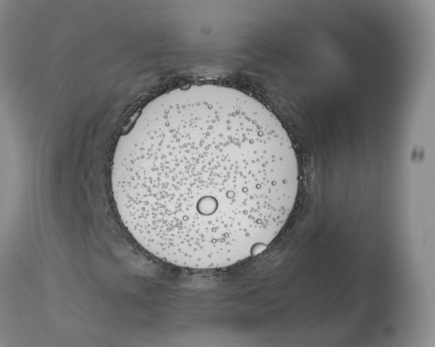 X0000112541393200909141301