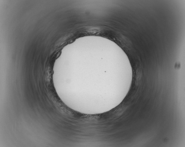 X0000112541394200909141301
