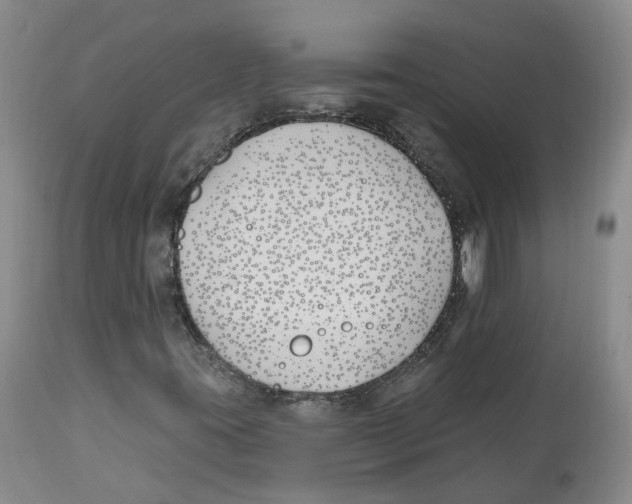 X0000112541395200909141301