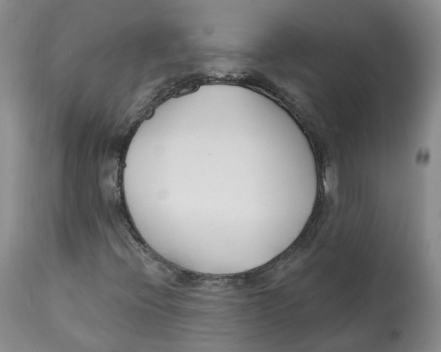 X0000112541396200909141301