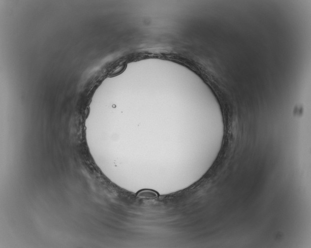 X0000112541398200909141301