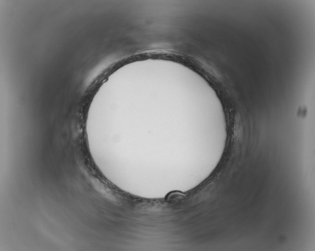 X0000112541400200909141301