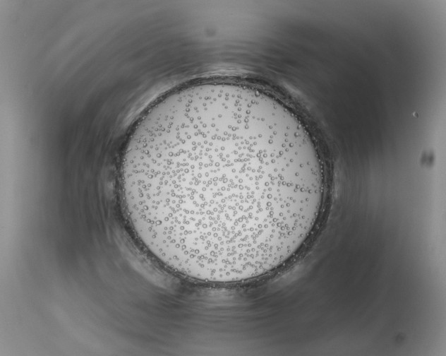 X0000112541401200909141301
