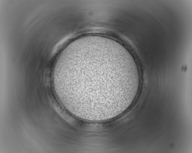 X0000112541403200909141301