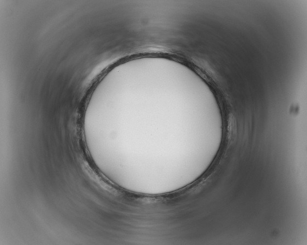 X0000112541404200909141301