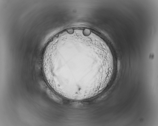X0000112541405200909141301