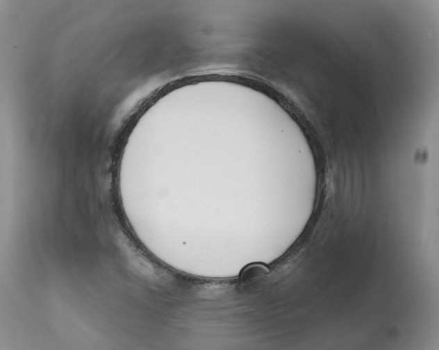 X0000112541406200909141301
