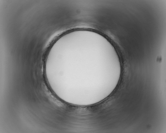 X0000112541408200909141301