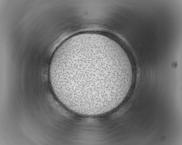 X0000112541409200909141301