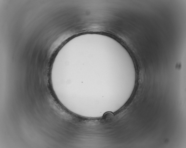X0000112541410200909141301