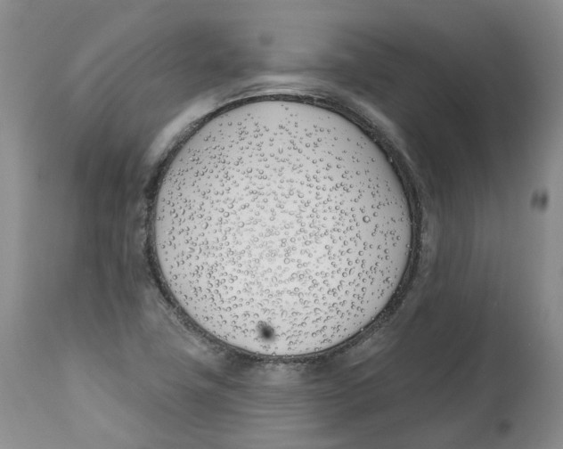 X0000112541411200909141301