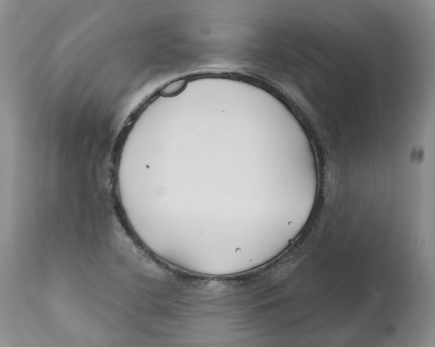 X0000112541412200909141301