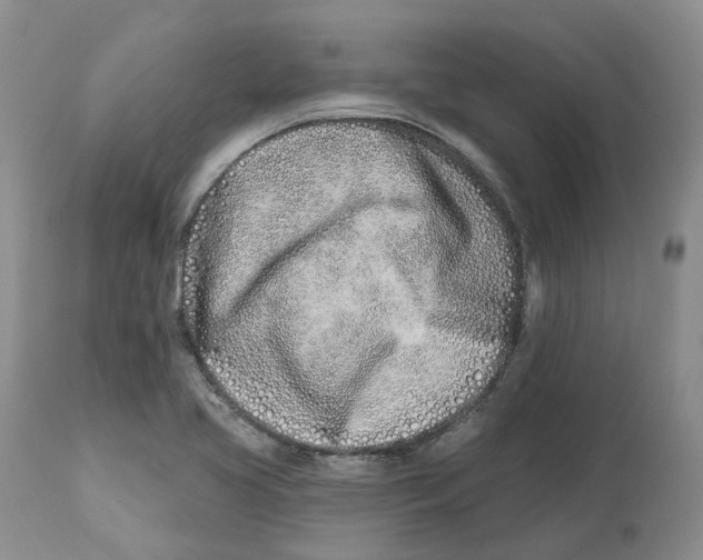 X0000112541413200909141301
